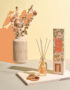 DIFFUSEUR MIKAROMA senteur ORANGE/CANELLE 95ml